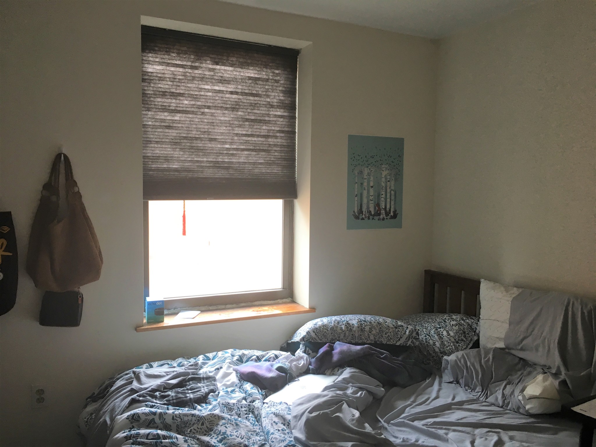 78 Gainsborough St, Fenway