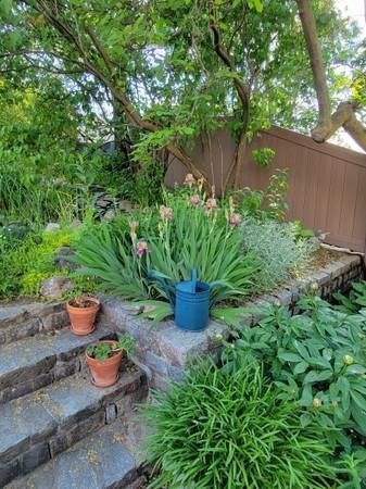 17 Elmira St, Brighton