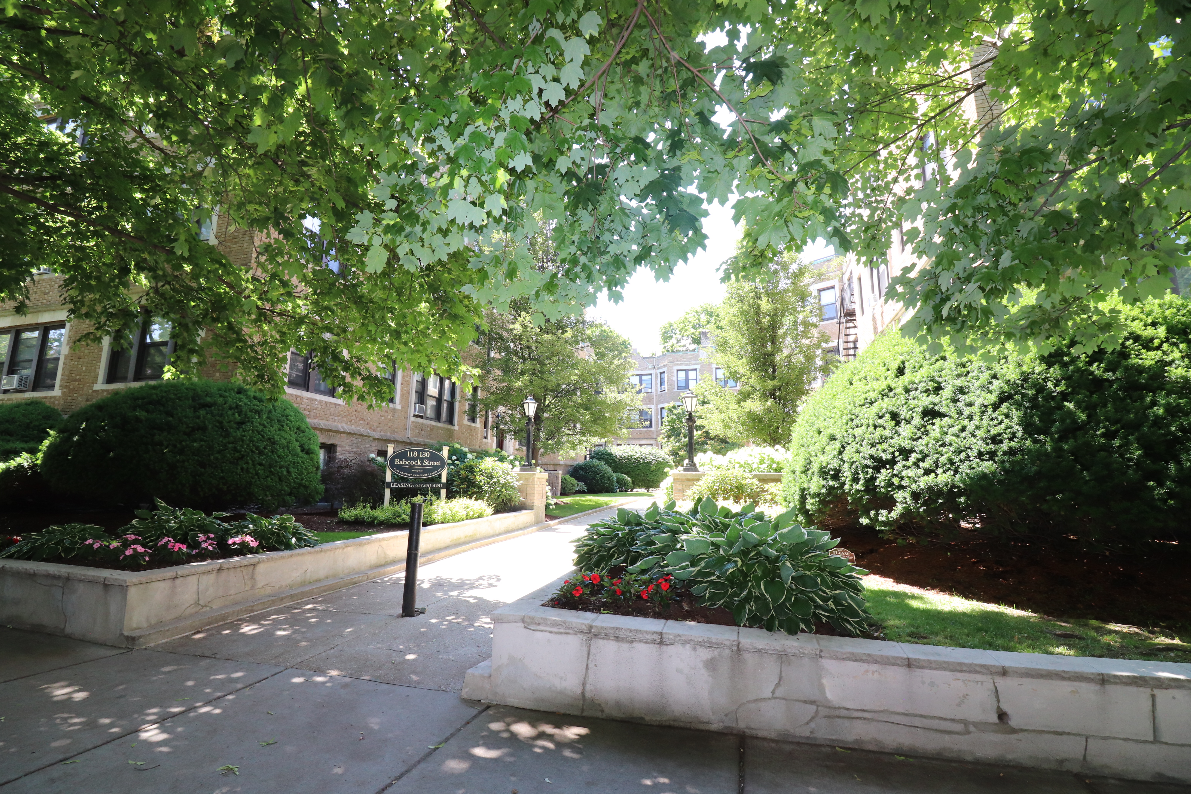 118 Babcock St, North Brookline