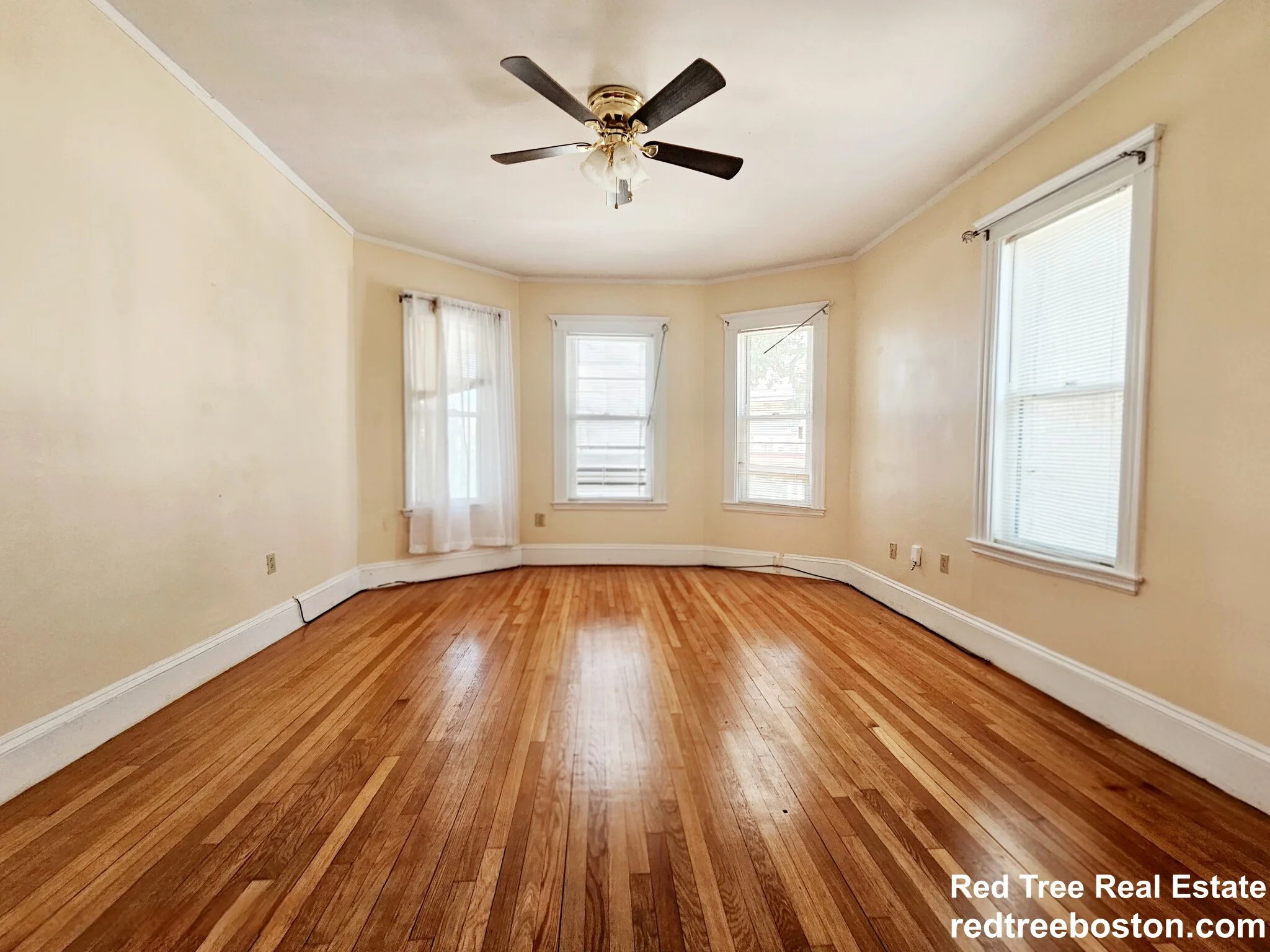 243 Callender St, Dorchester