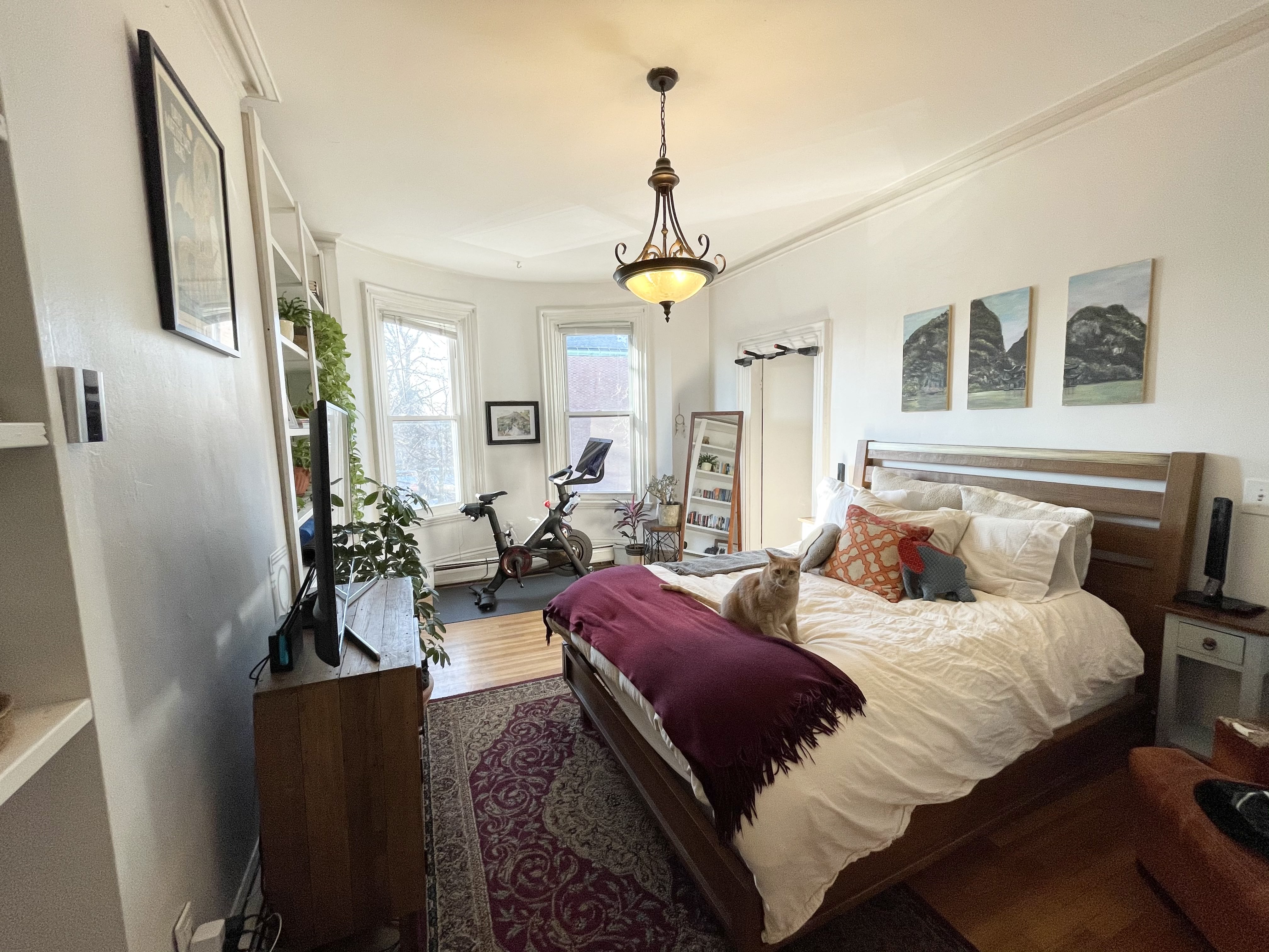 1 bed, 1 bath apartment for rent at 749 4th St Unit 2, South Boston — photo 3 of 5