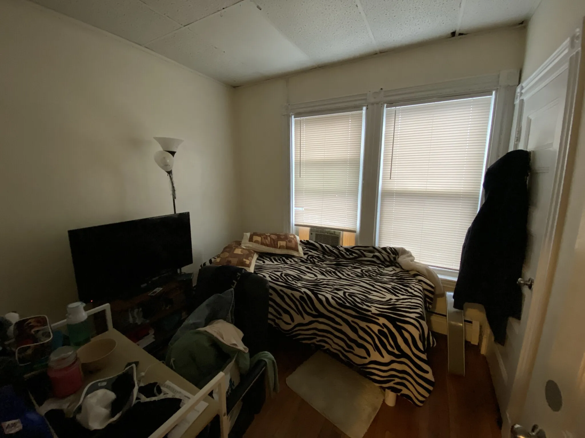 80 Hillside St, Mission Hill