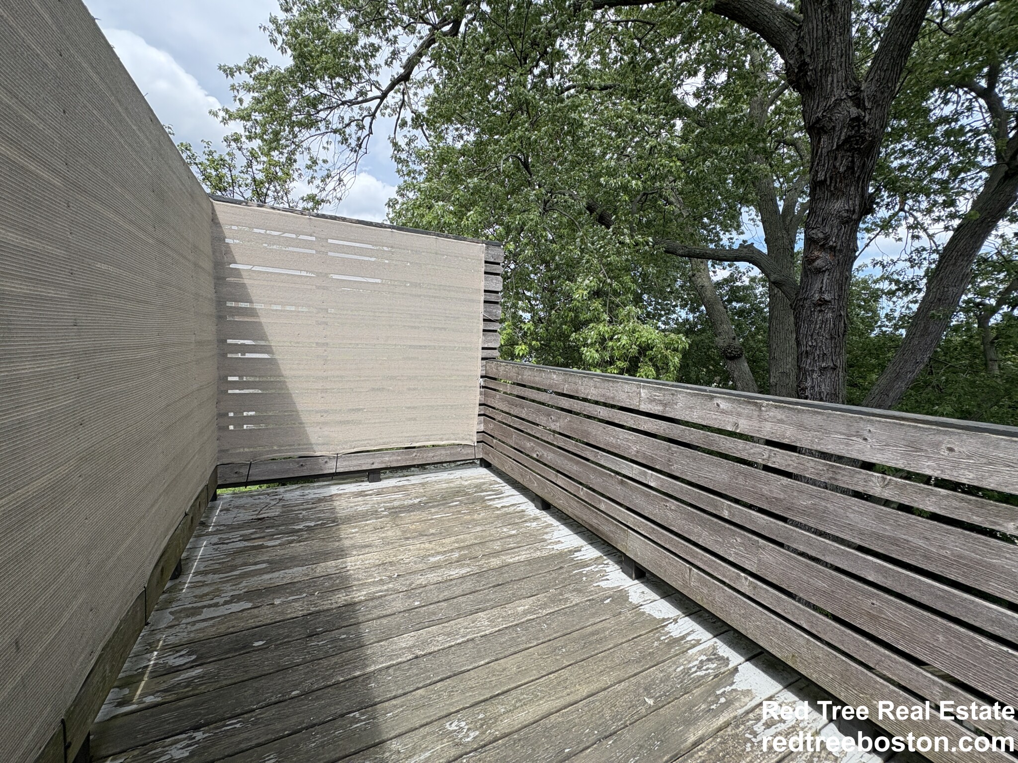 21 Holton St, Allston