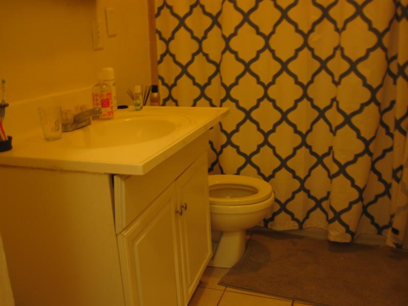 17 Symphony Rd, Fenway