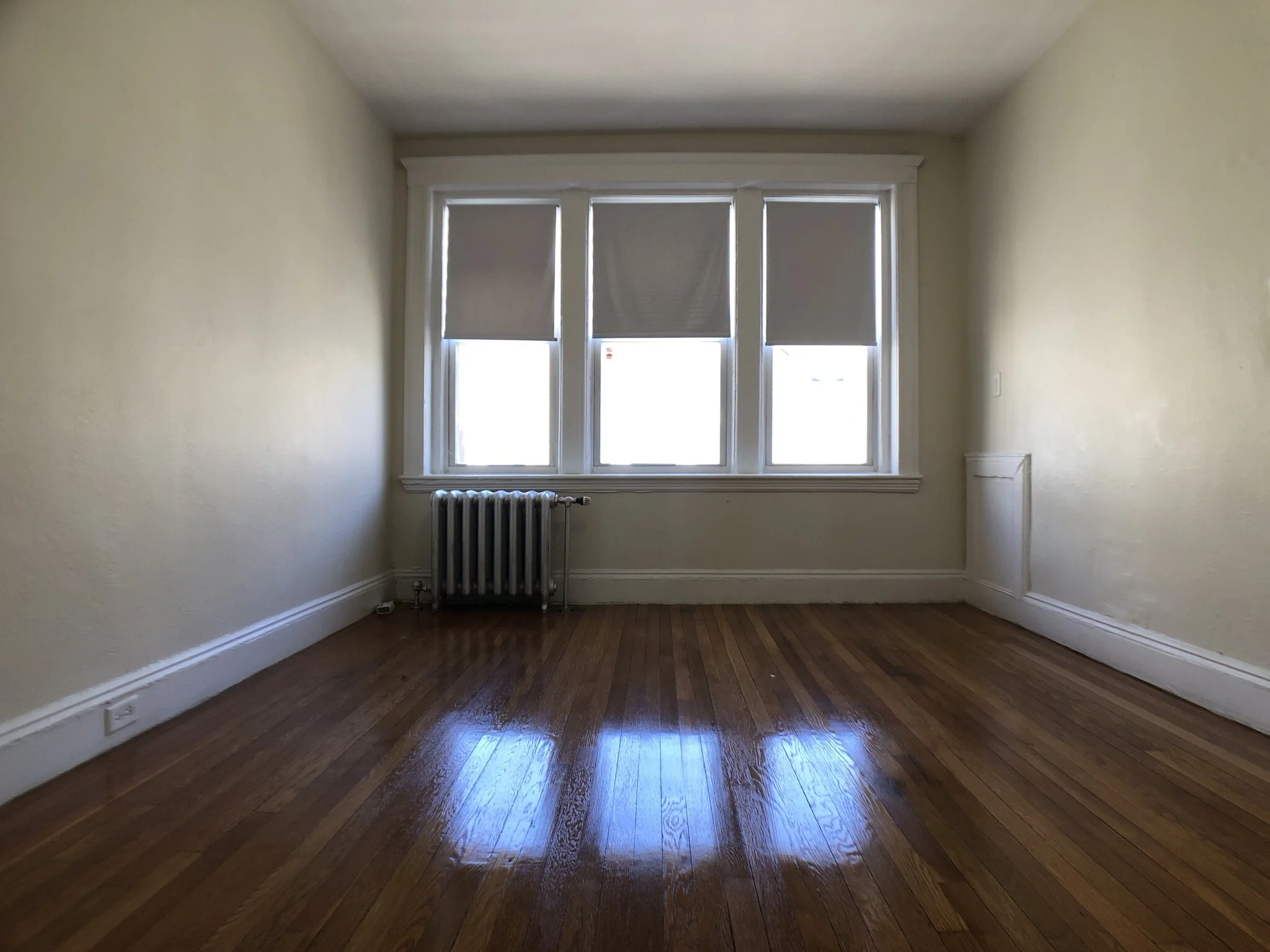 1171 Boylston St, Fenway