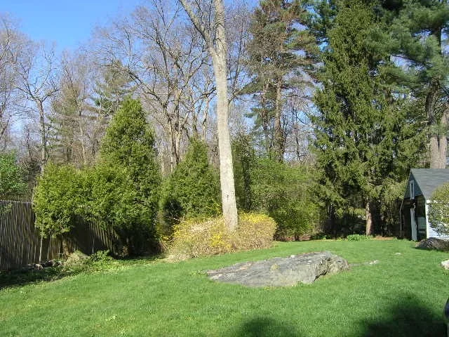 314 Conant Rd, Weston