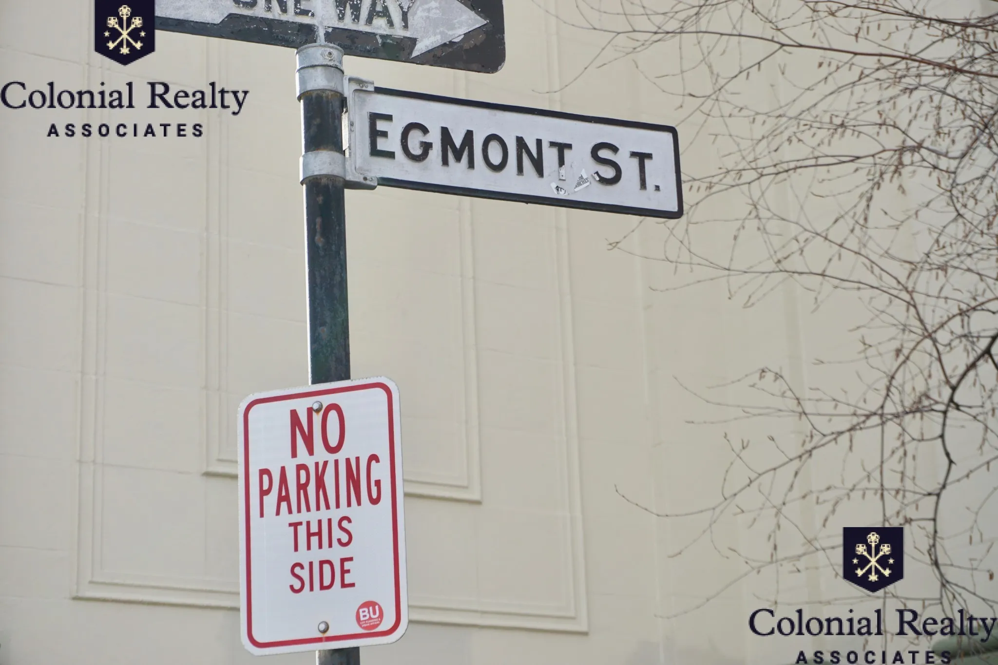 72 Egmont St, North Brookline