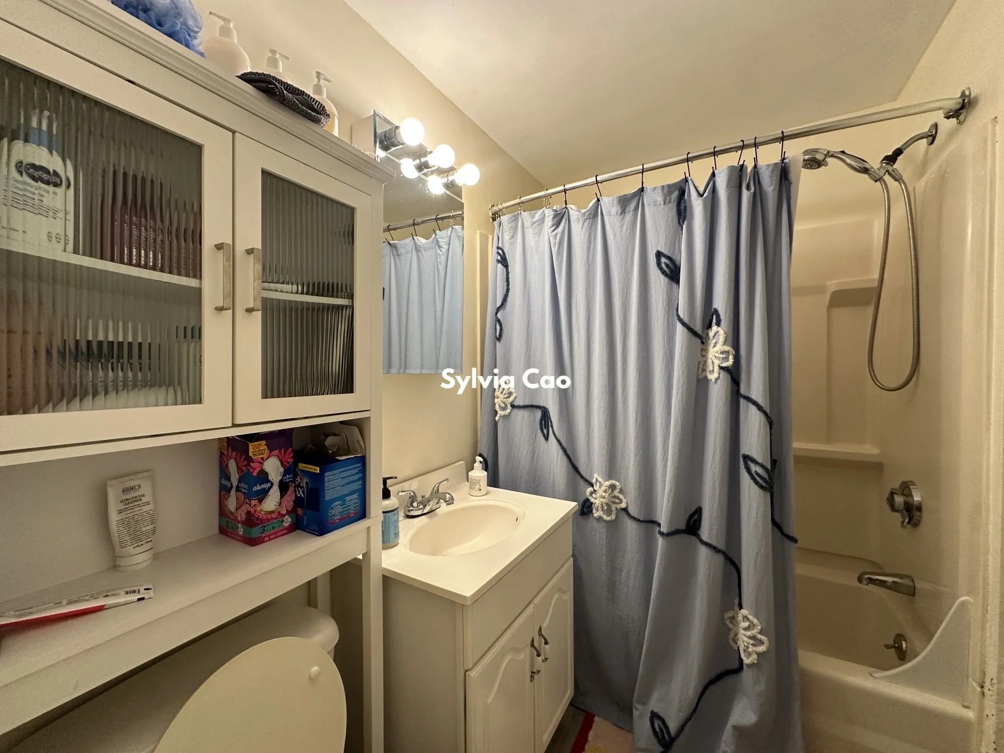 62 Egmont St, North Brookline