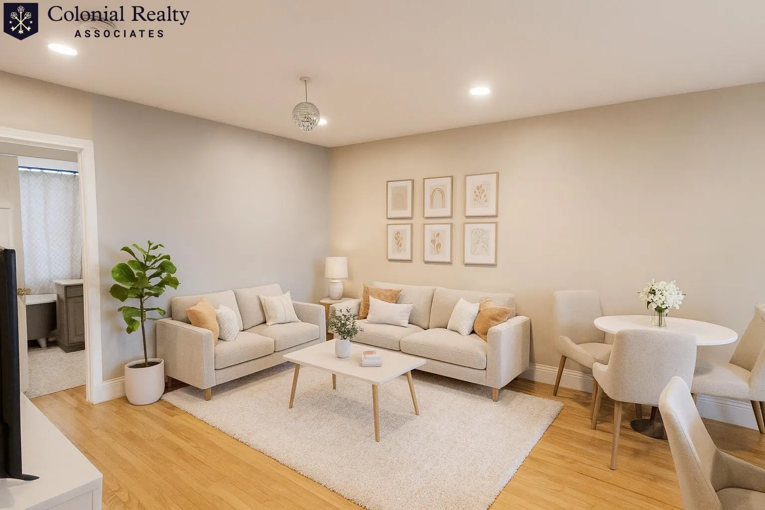 56 Egmont St, North Brookline