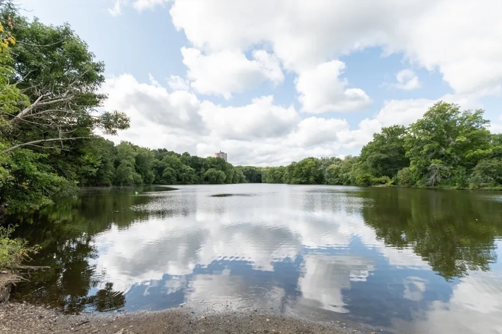 99 Pond Ave, Brookline Village