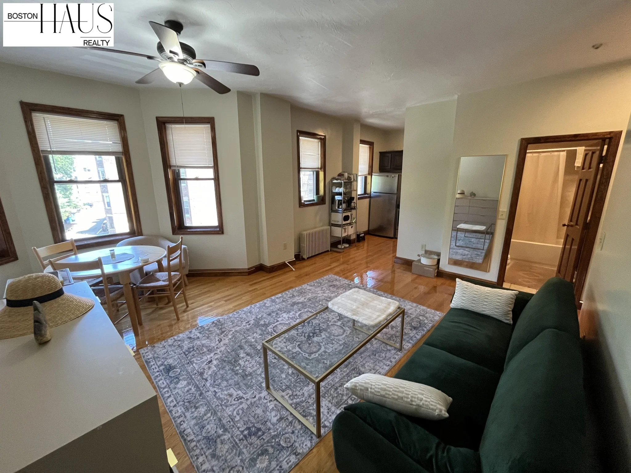 223 Park Dr, Fenway