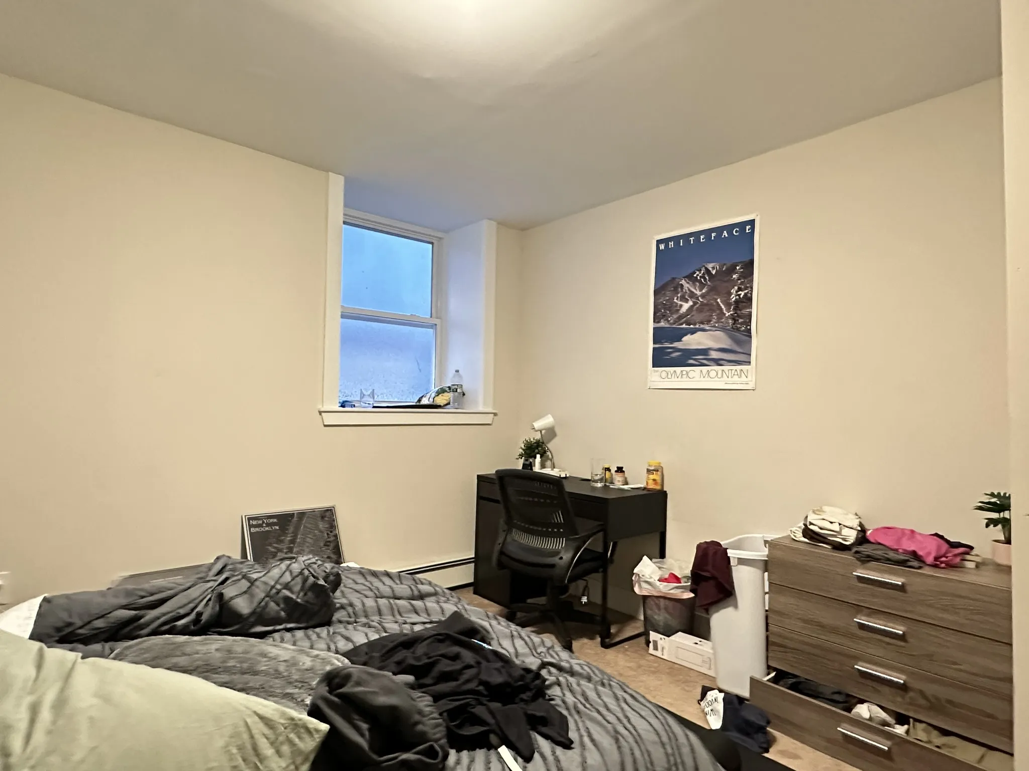 12 Wensley St, Mission Hill