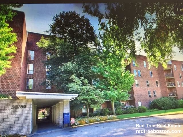 50-56 Broadlawn Park, Chestnut Hill