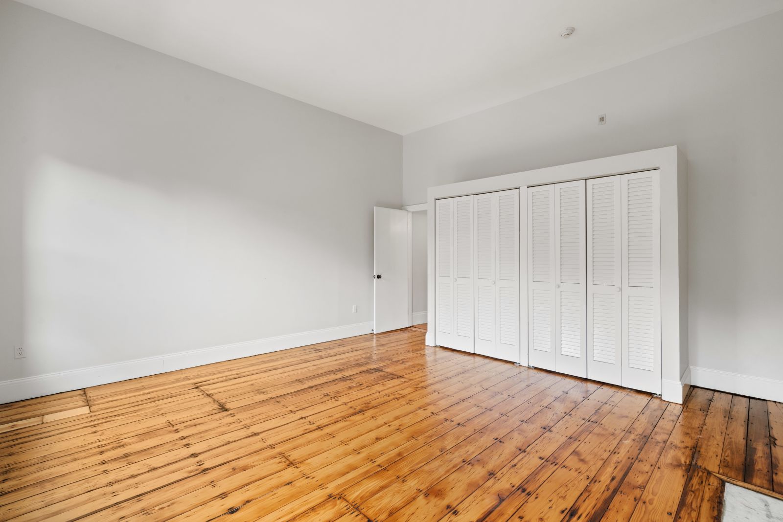 2 bed, 2 bath apartment for rent at 13 Dwight St Unit 1, South End — photo 1 of 22