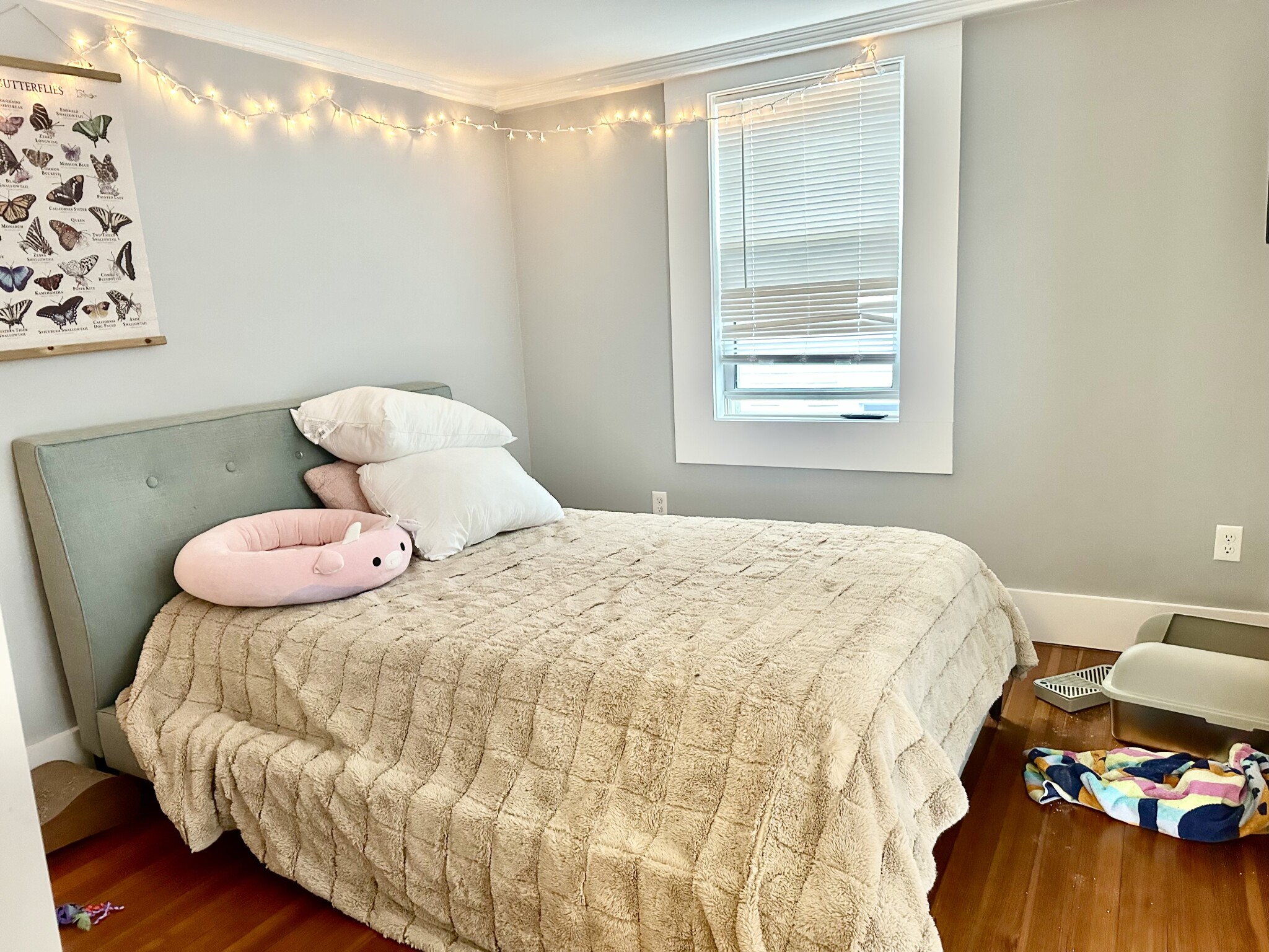 11 Forrester St, Salem