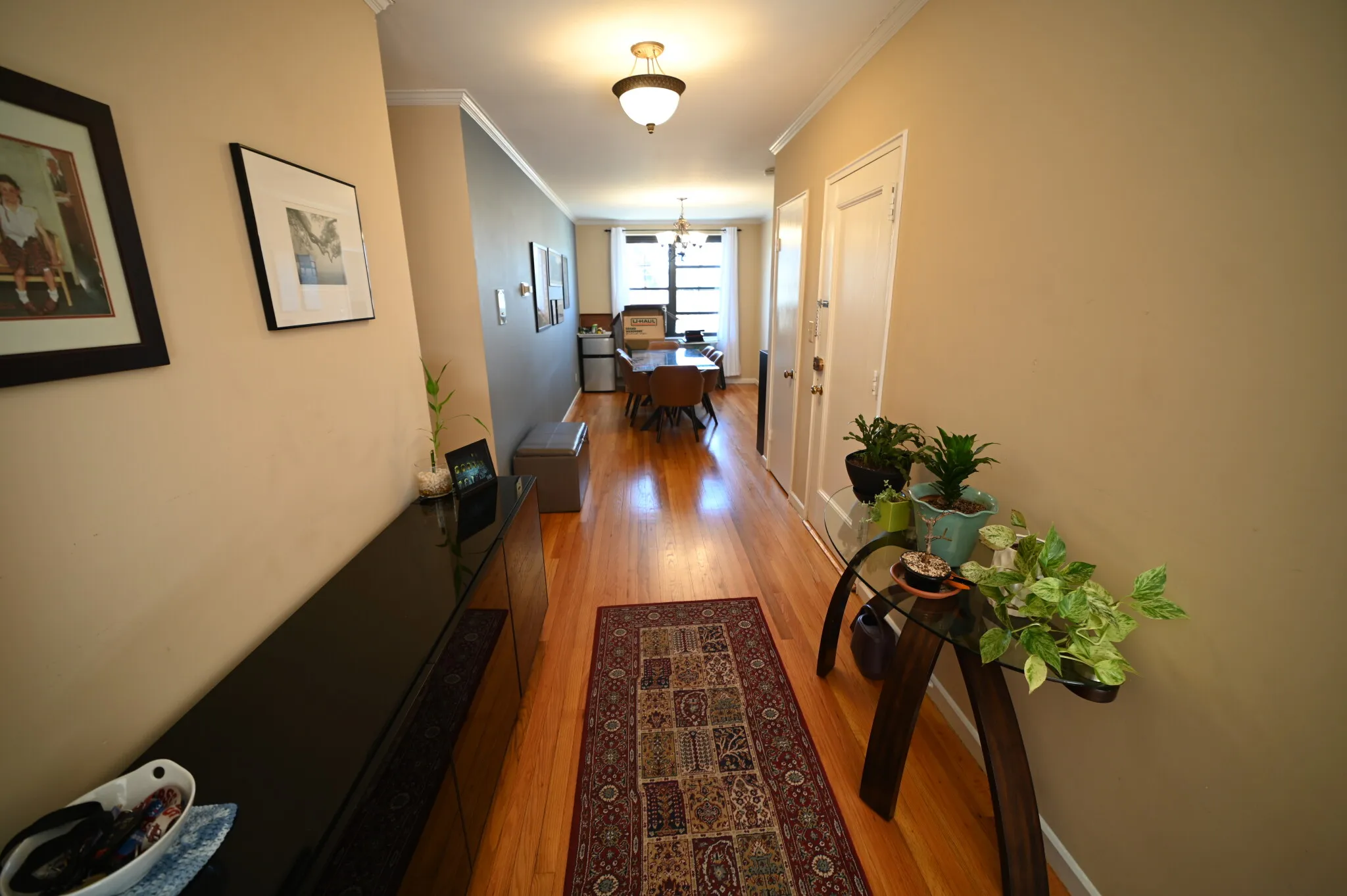 53 Harvard Ave, Coolidge Corner