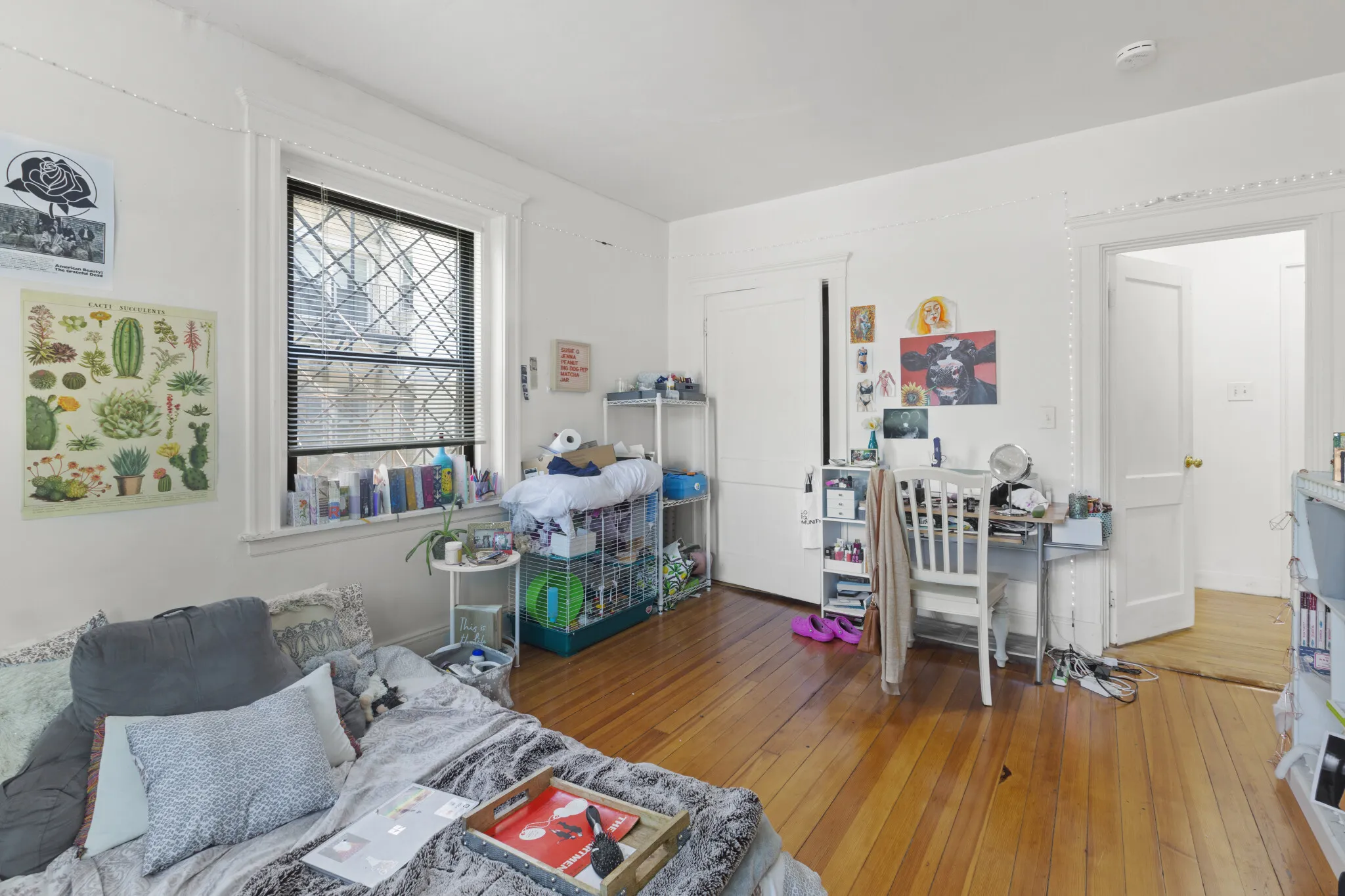 1462 Commonwealth Ave, Brighton