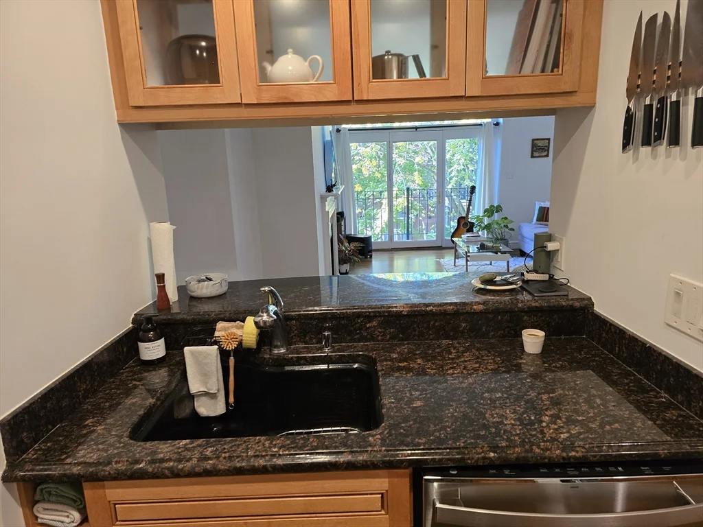 76 W Rutland Sq, South End