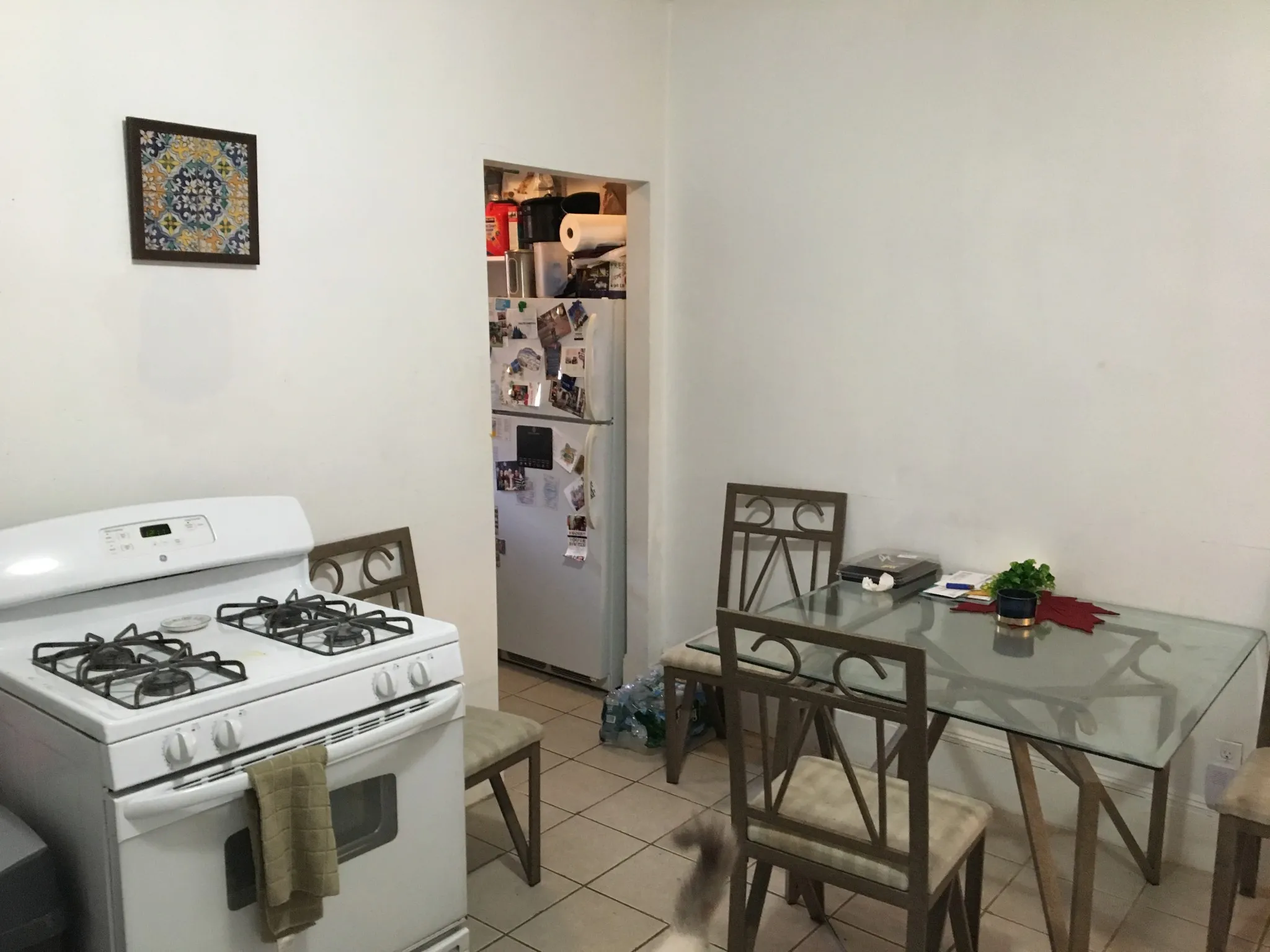 162 Kelton St, Brighton