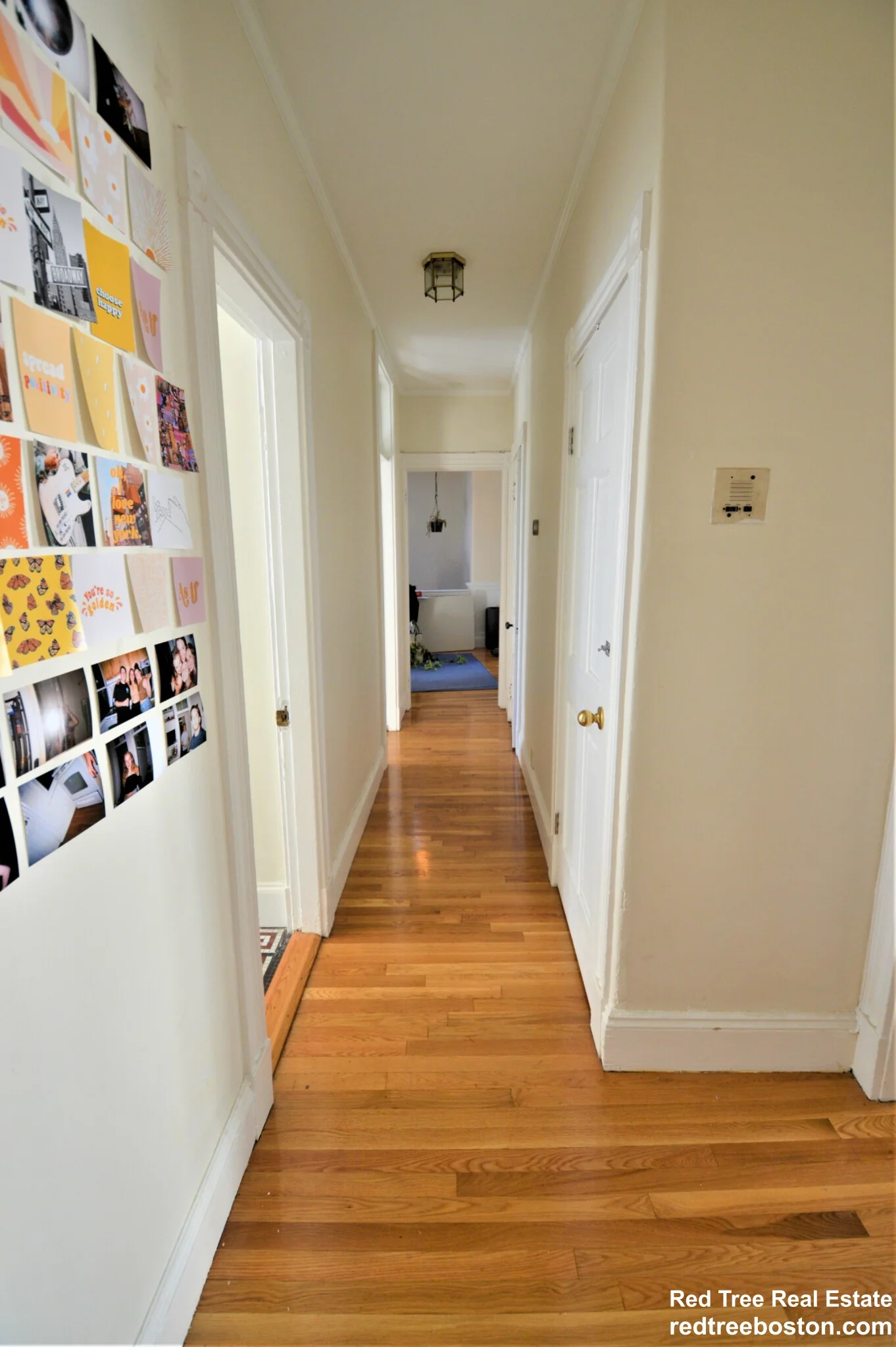 6 Colliston Rd, Brighton