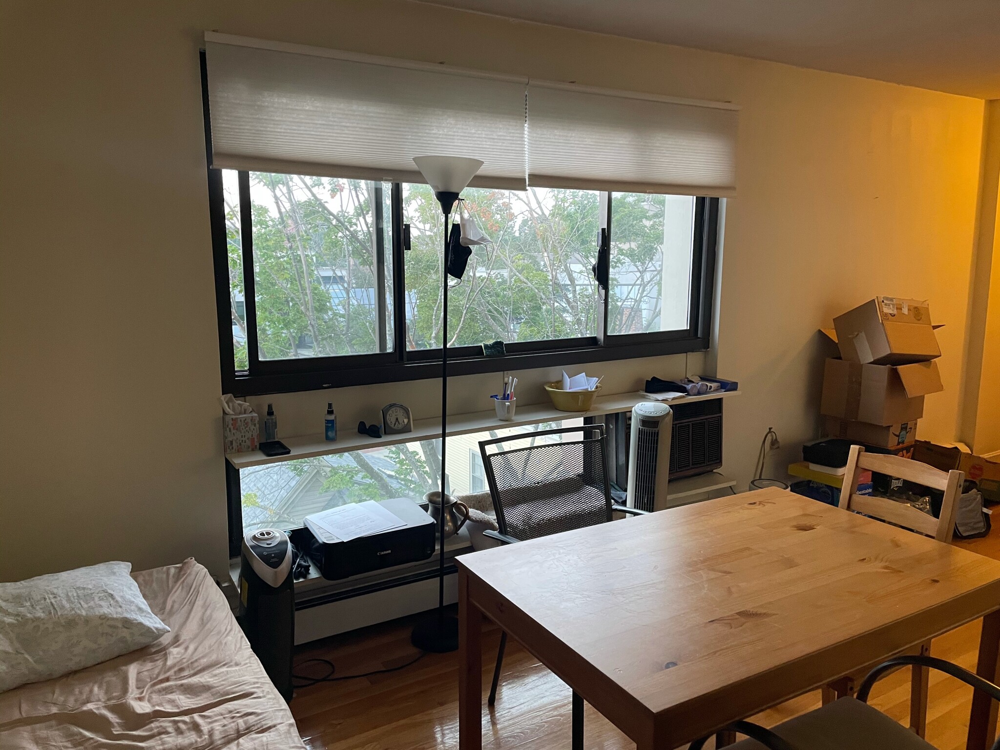 1 bed, 1 bath apartment for rent at 77 Trowbridge St Unit 71, Mid Cambridge — photo 2 of 6