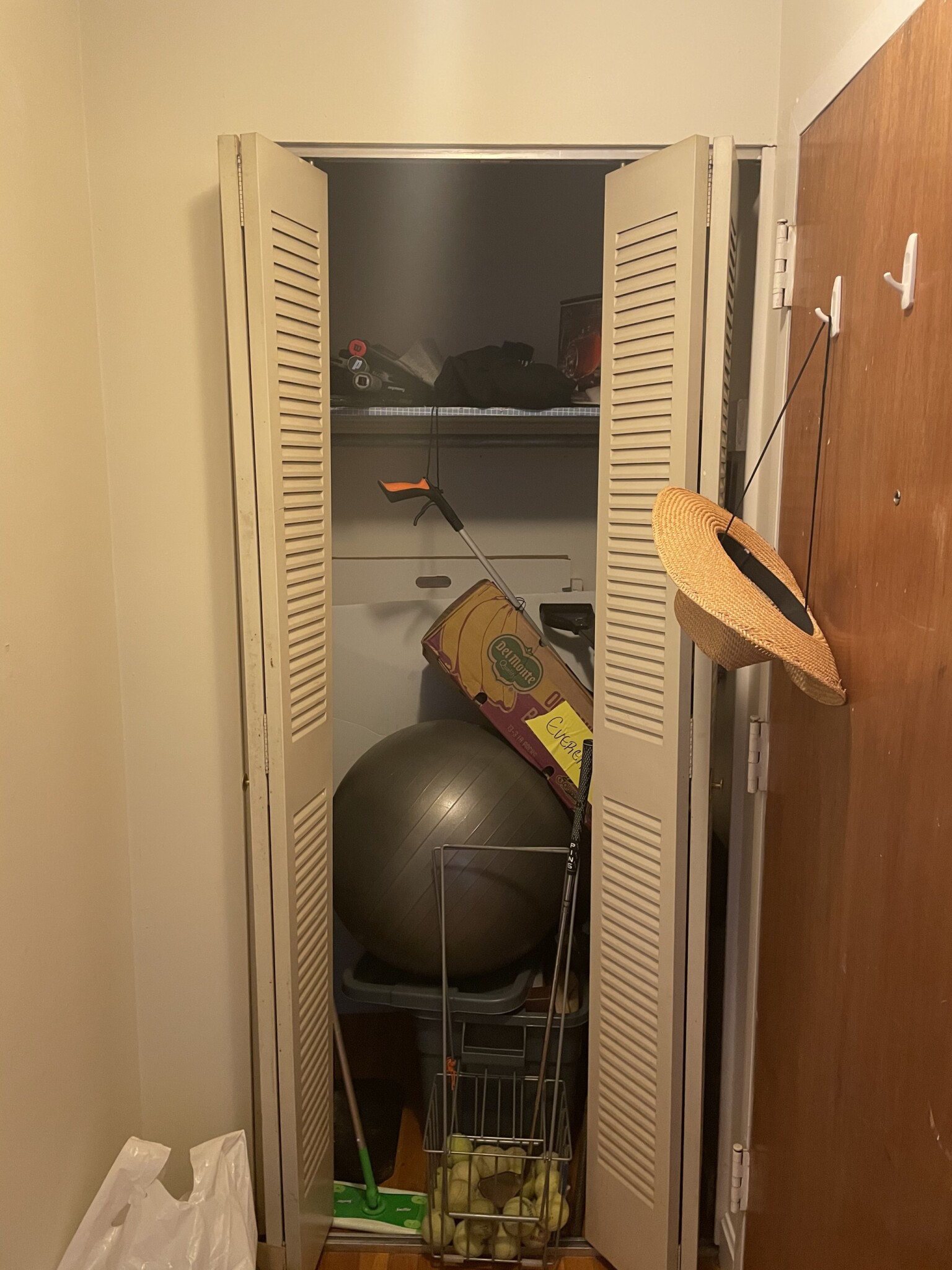 1 bed, 1 bath apartment for rent at 77 Trowbridge St Unit 71, Mid Cambridge — photo 5 of 6