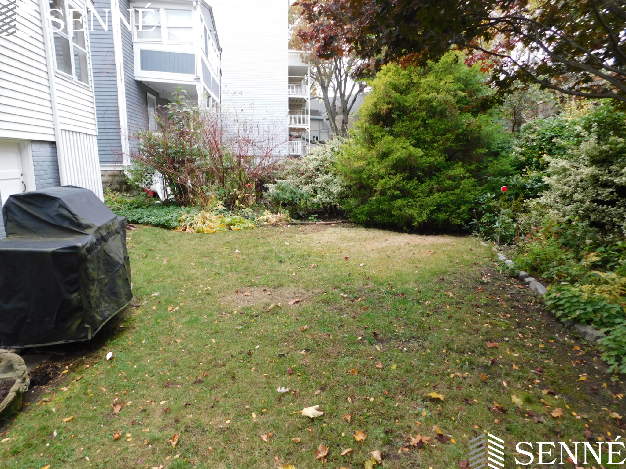 1 bed, 1 bath apartment for rent at 77 Wendell St Unit 1, East Cambridge — photo 1 of 10