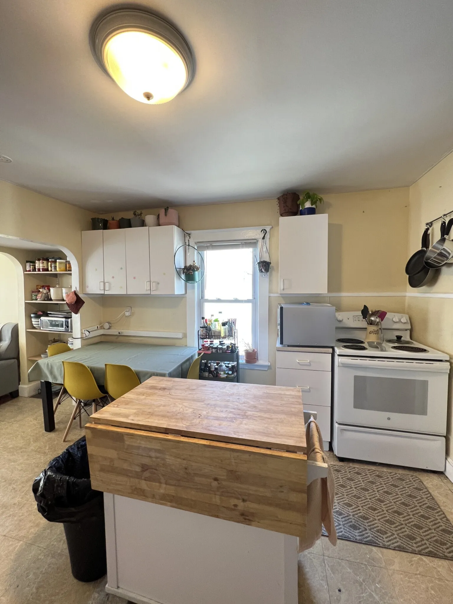 7 Craigie St, Spring Hill