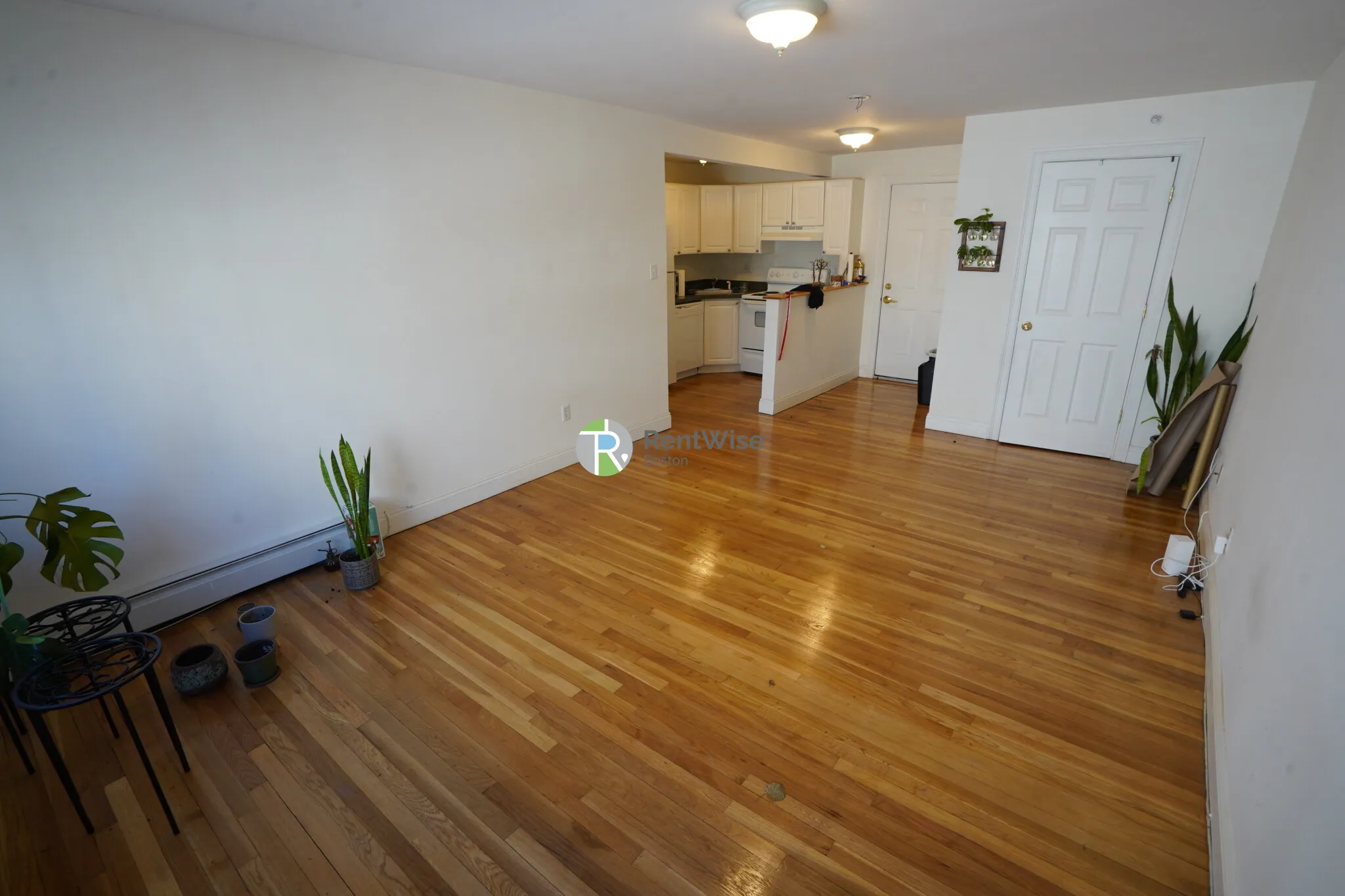 8 Griggs St, Brighton