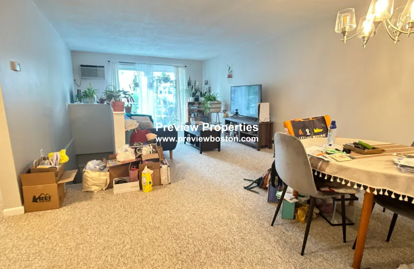 73 Charlesbank Rd, Newton Corner