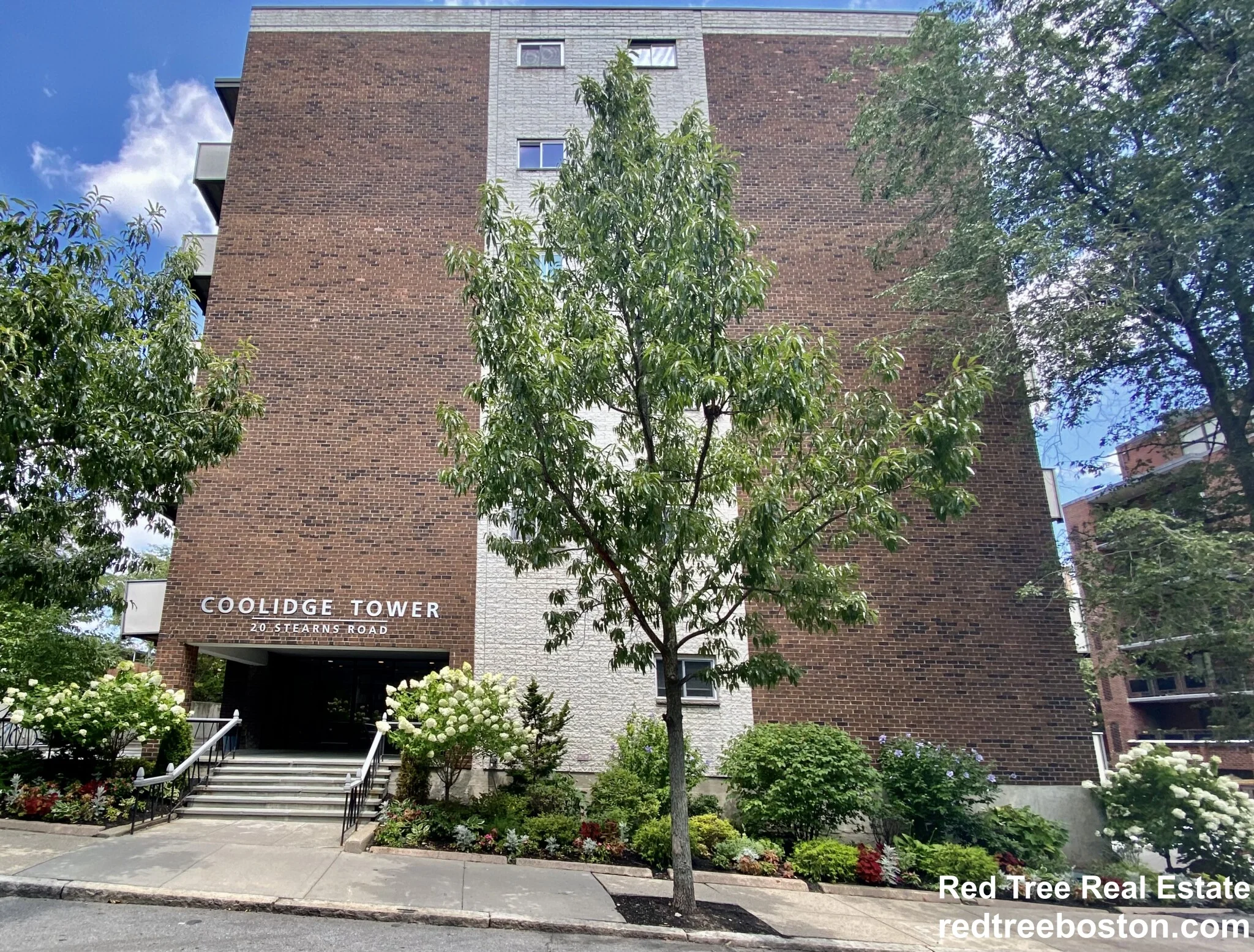 20 Stearns Rd, Coolidge Corner