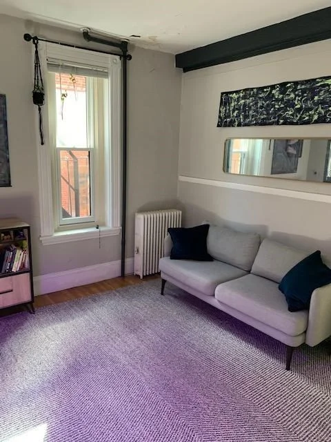 8 Fayette St, Back Bay