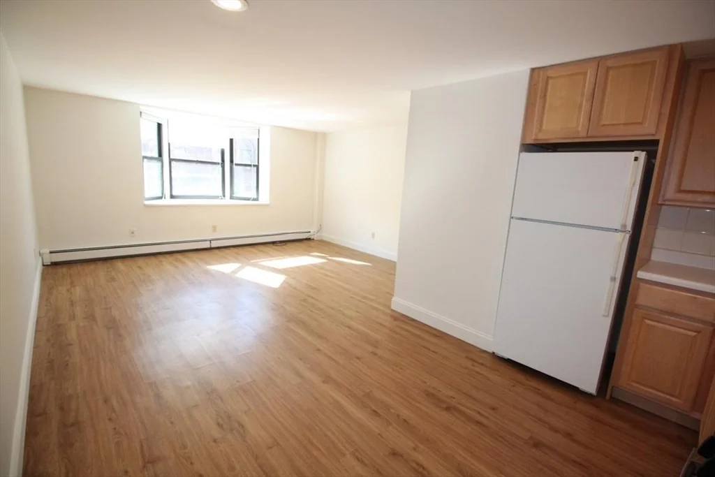 117 W Concord St, South End