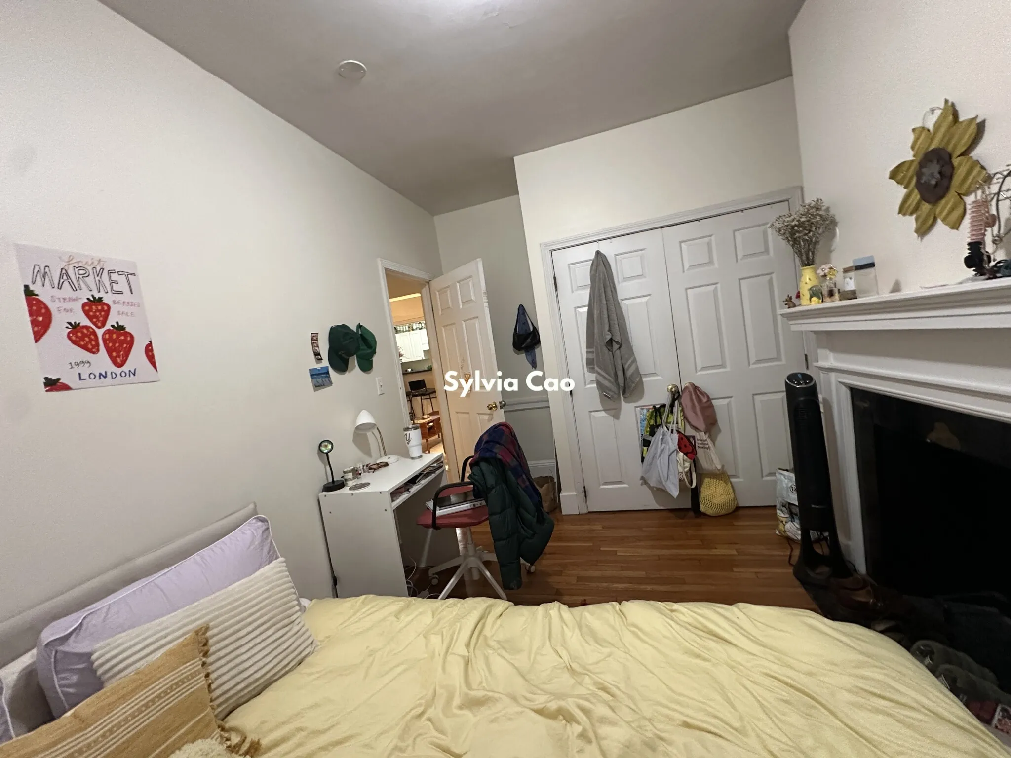 54 Egmont St, North Brookline