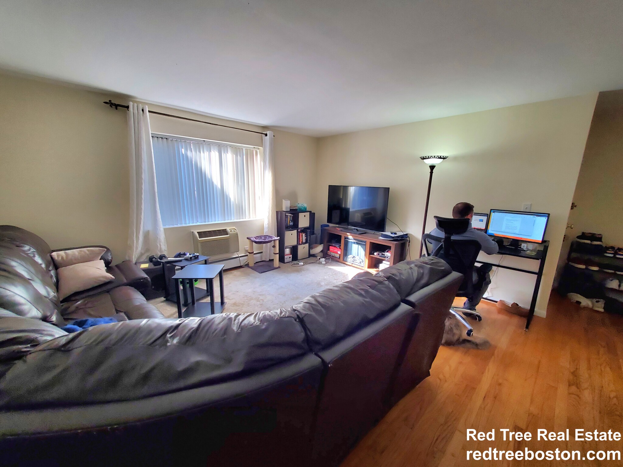 54 Bryon Rd, Chestnut Hill