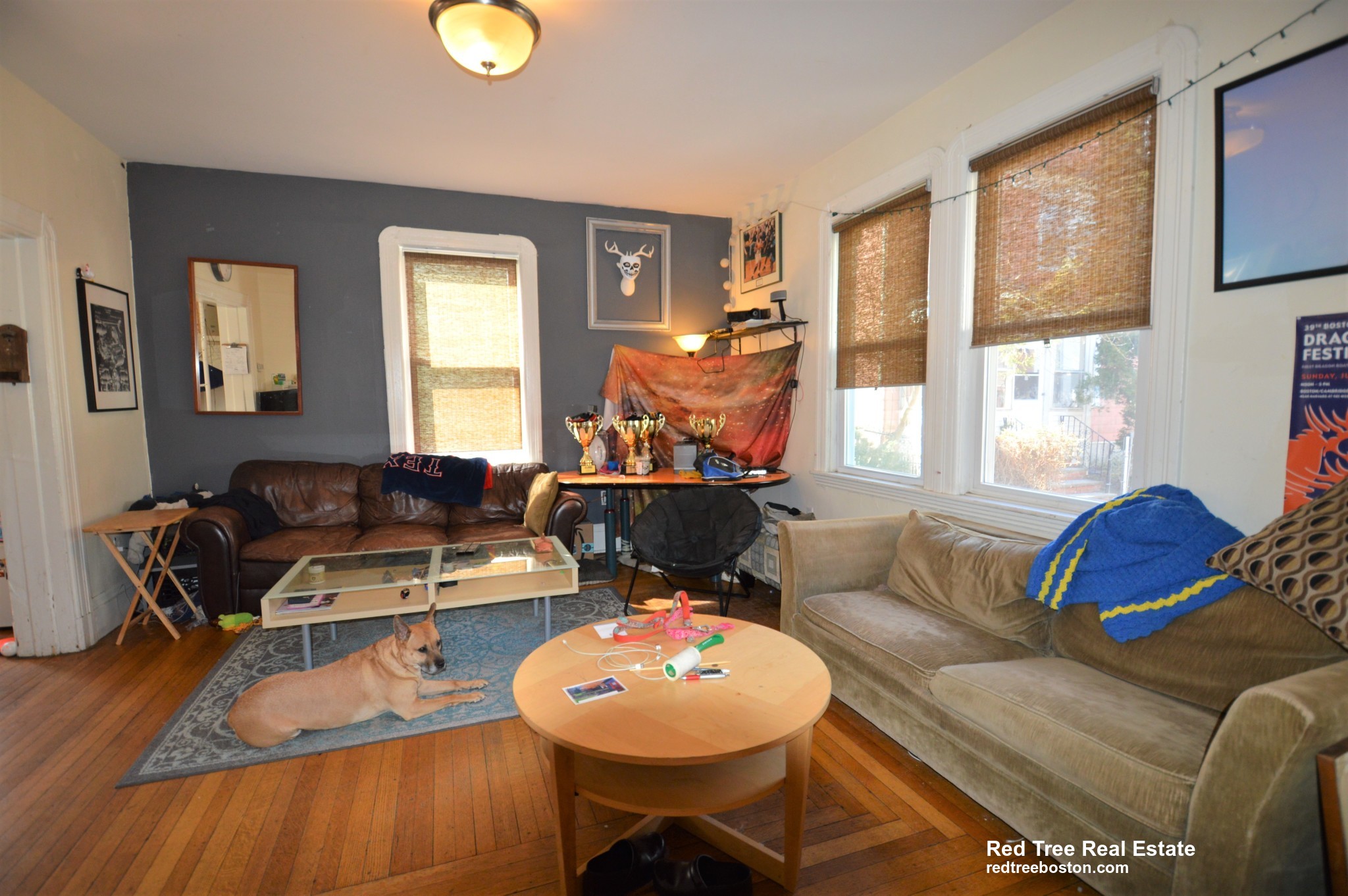 5 Murdock Ter, Brighton