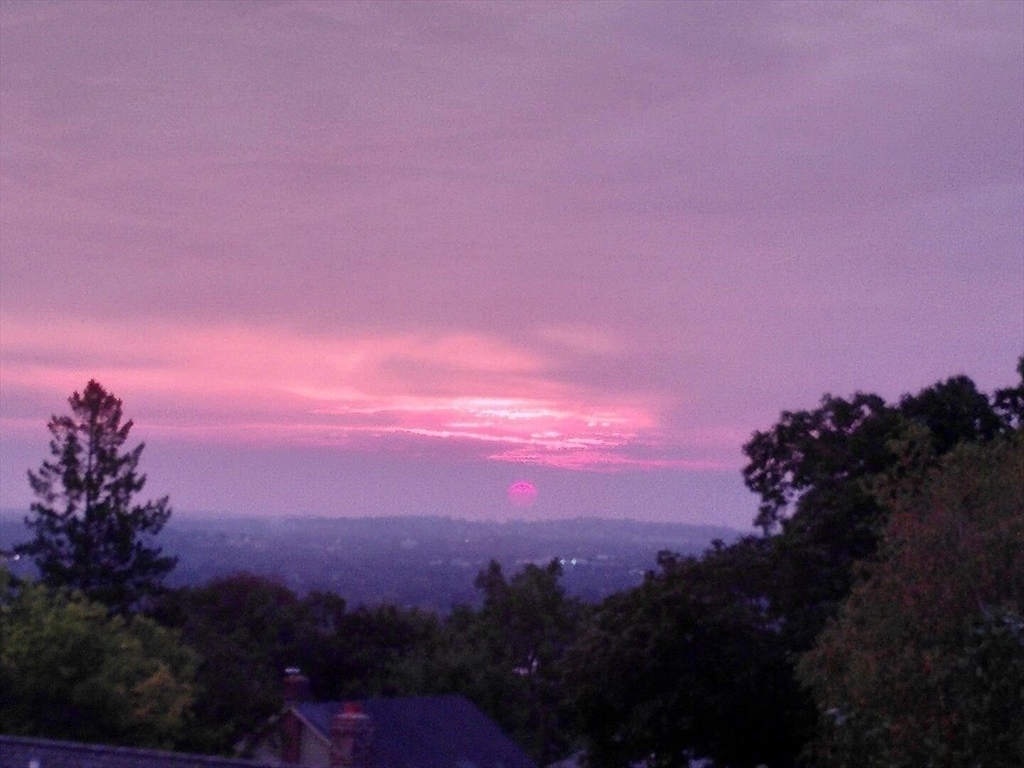 90 Robbins Rd, Arlington Heights