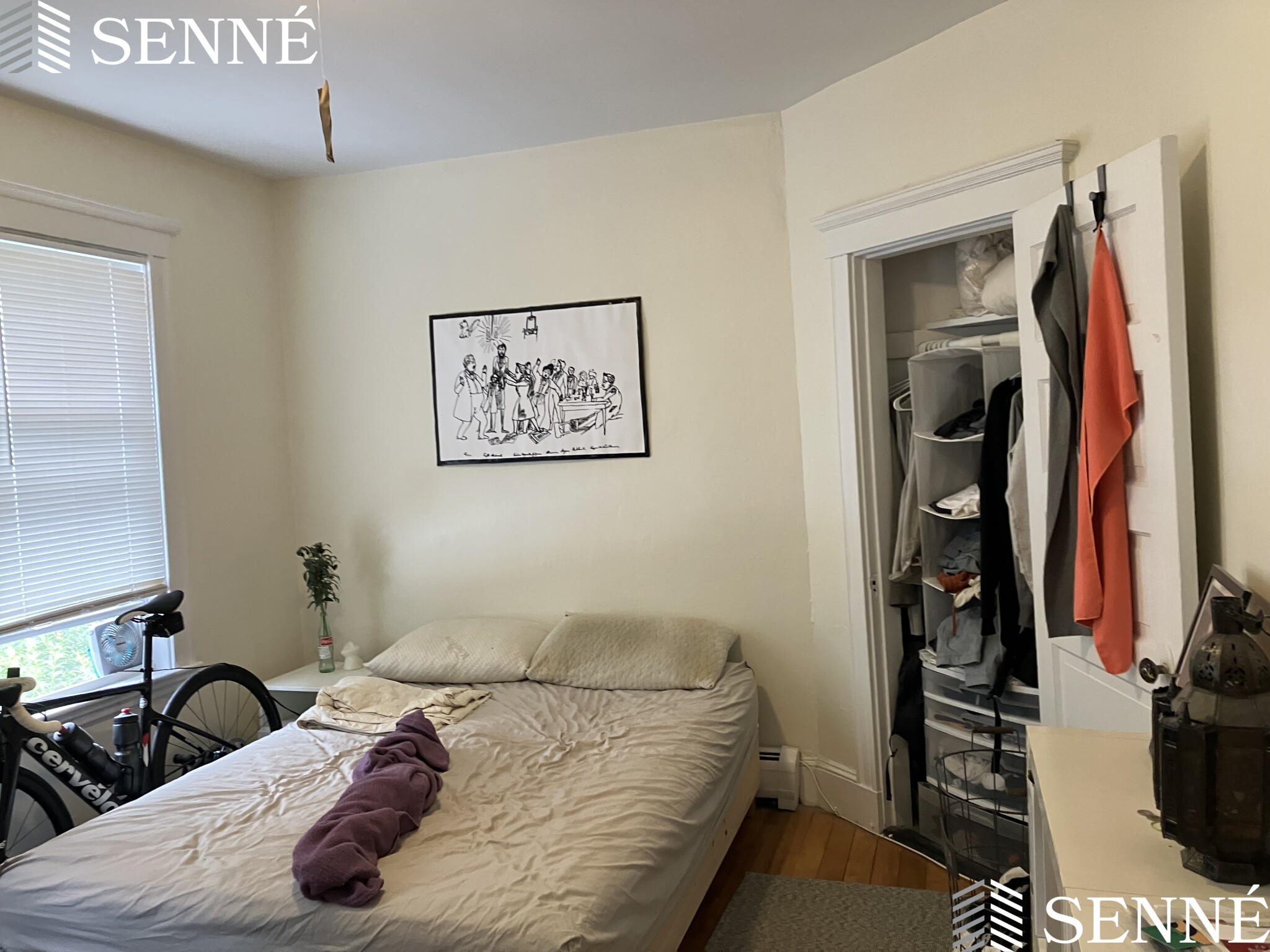 42A Linden Ave, Spring Hill