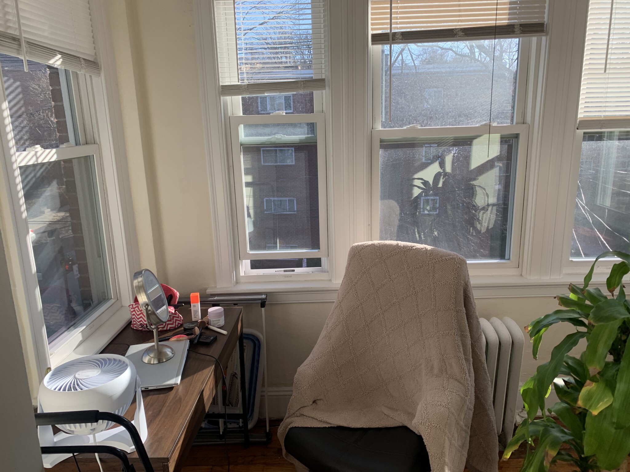 248 Kelton St, Allston