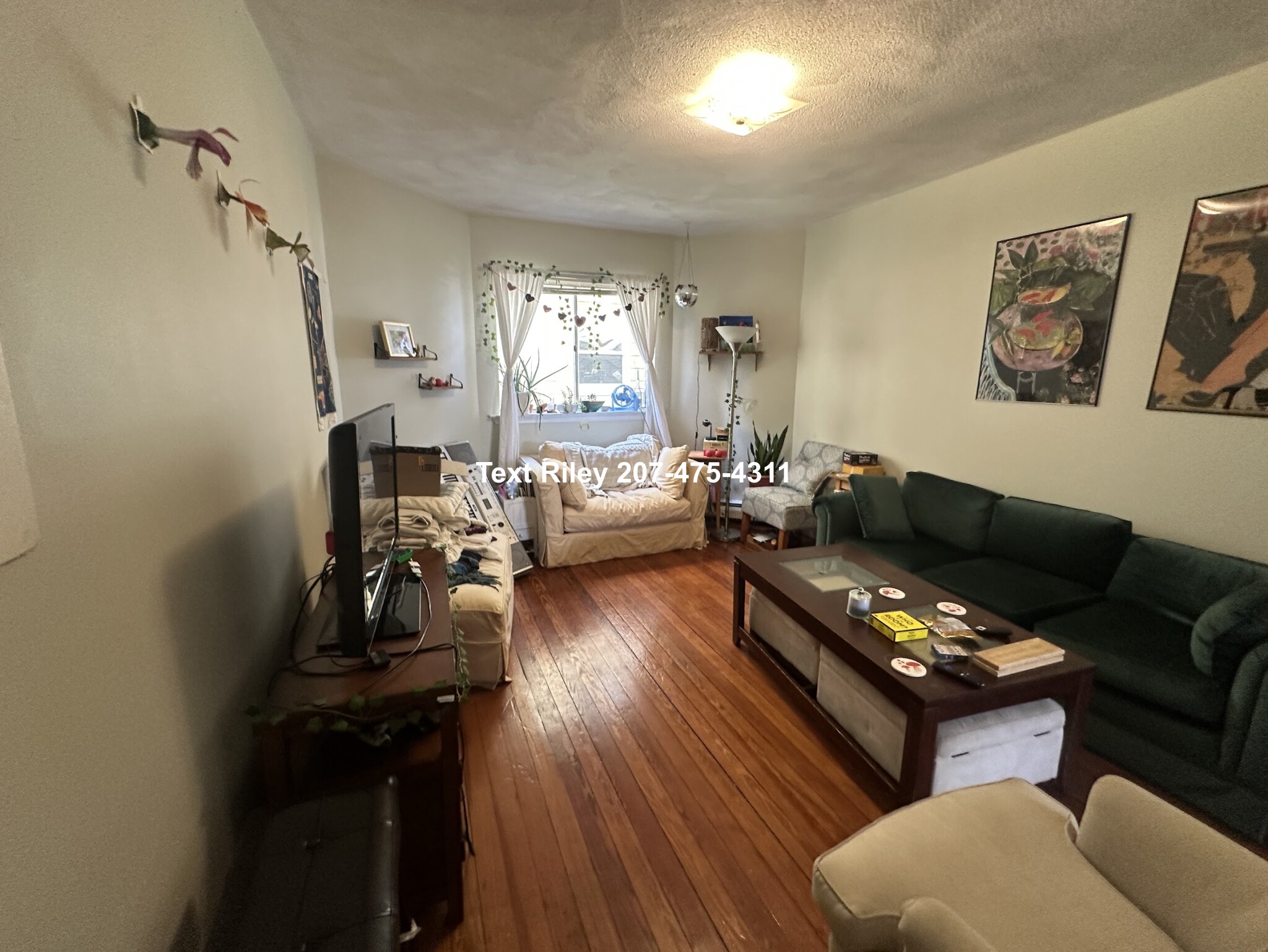 99 Marion St, Ward Two