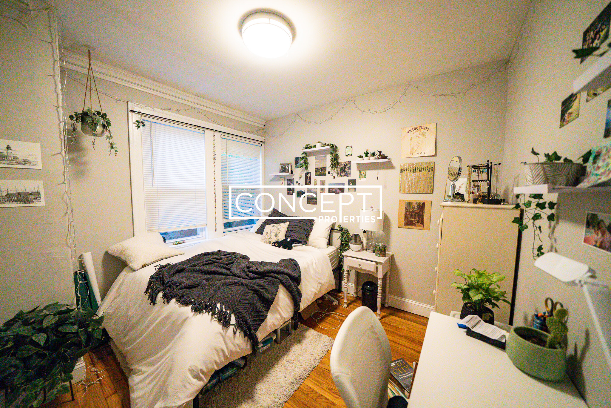 4 Iroquois St, Mission Hill