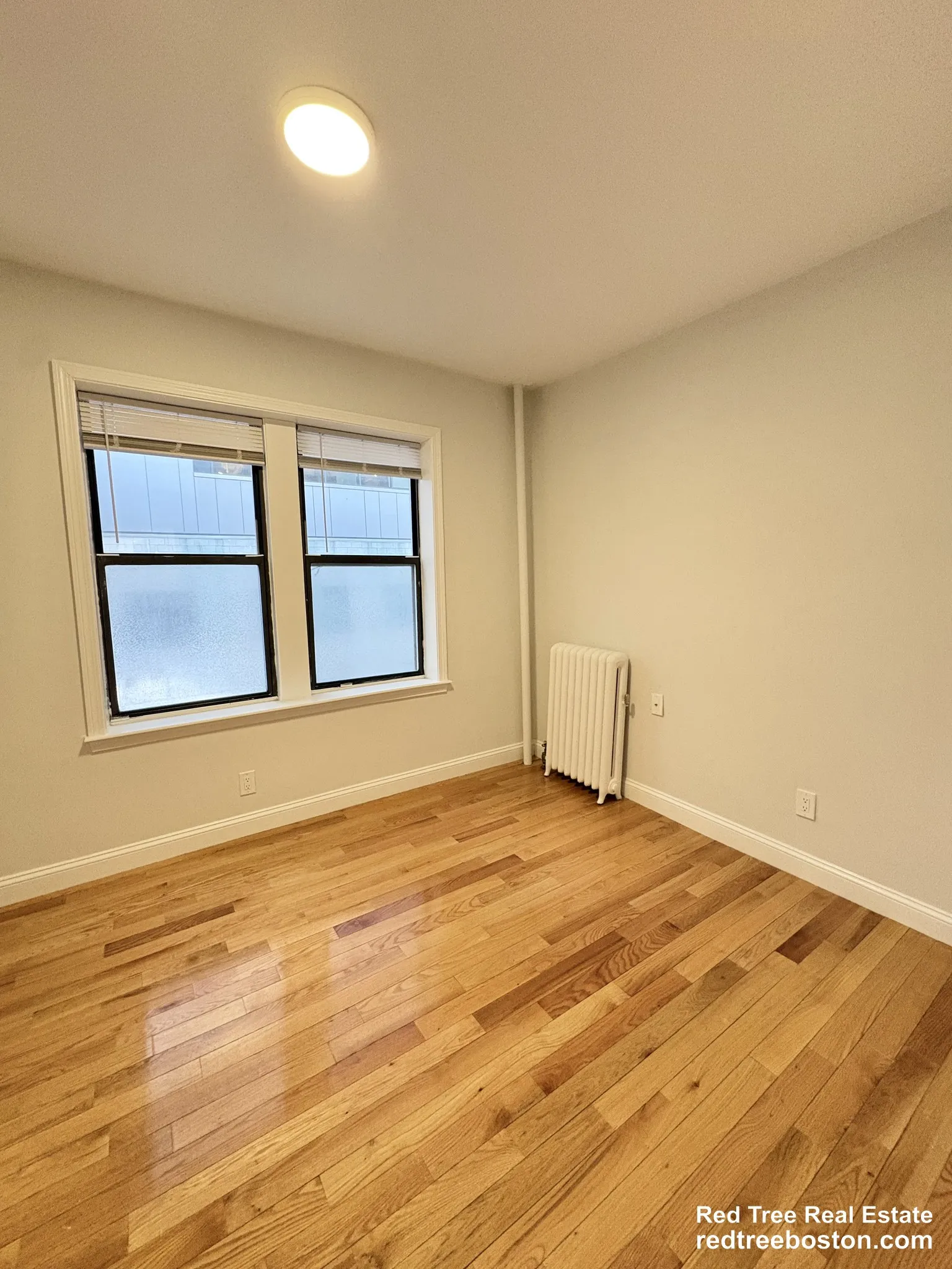 19 Peterborough St, Fenway