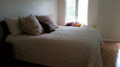 3 bed, 2.5 bath apartment for rent at 121 River St Unit A, West Newton — photo 8 of 12