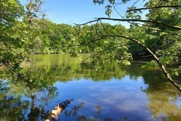 99 Pond Ave, Brookline Village