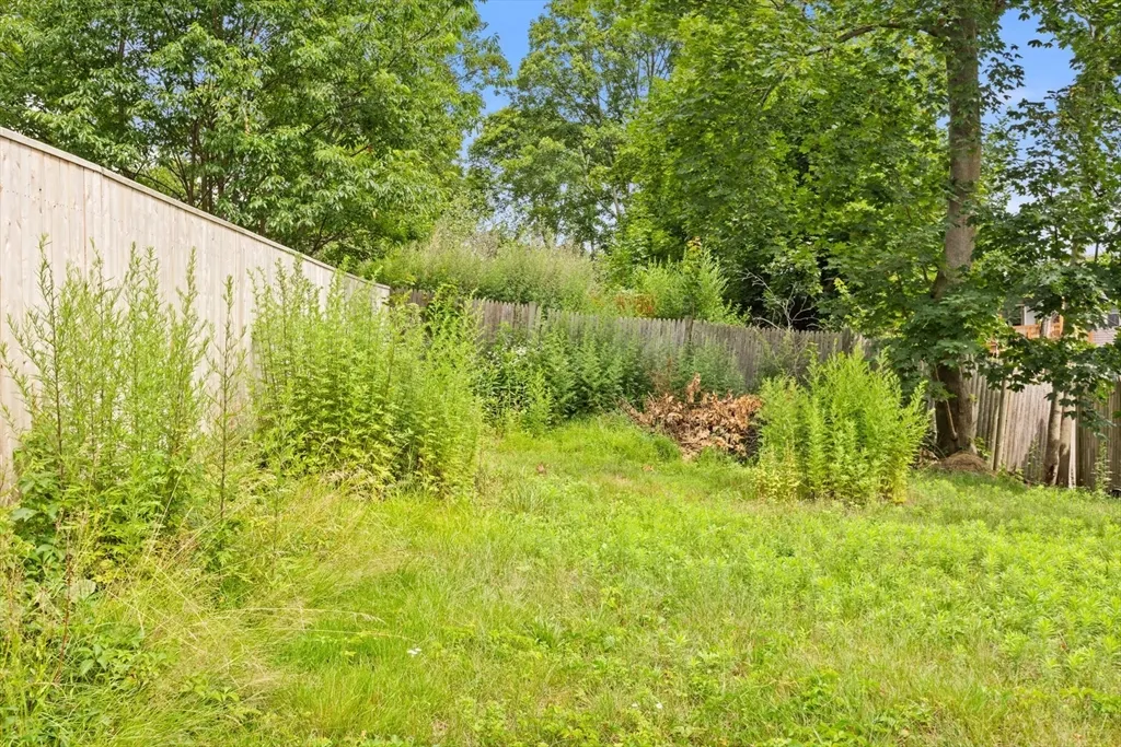 7 Fox St, Dorchester