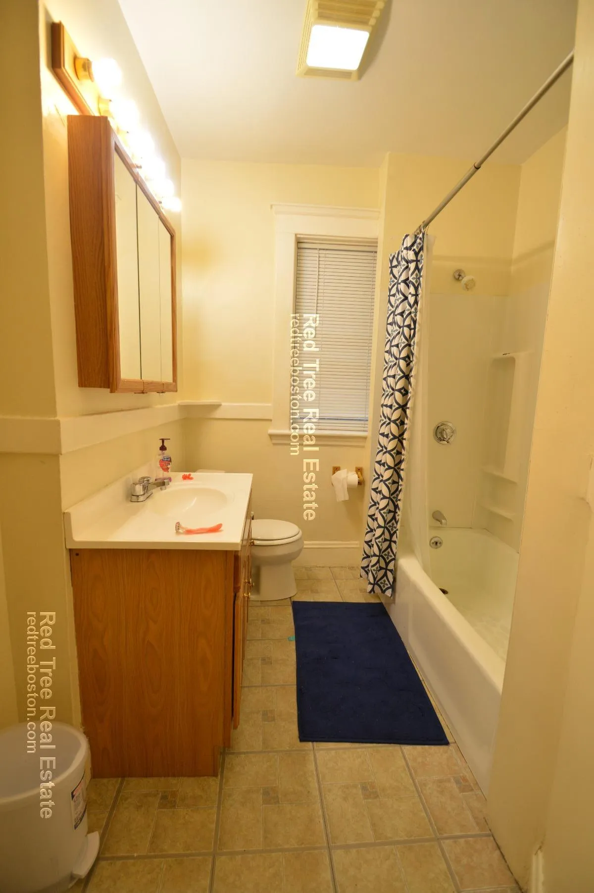 209 Chestnut Hill Ave, Brighton