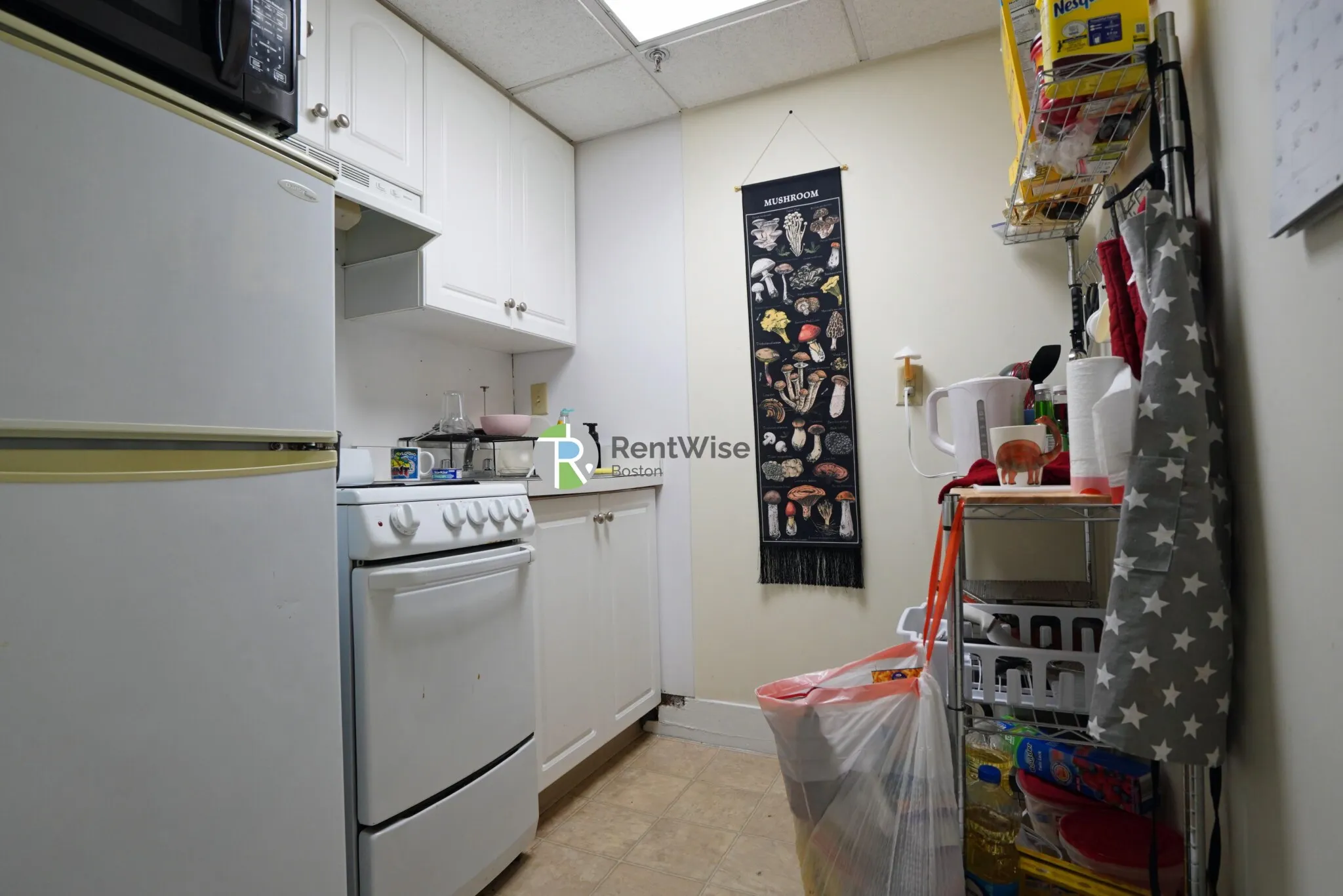 62 Boylston St, Downtown