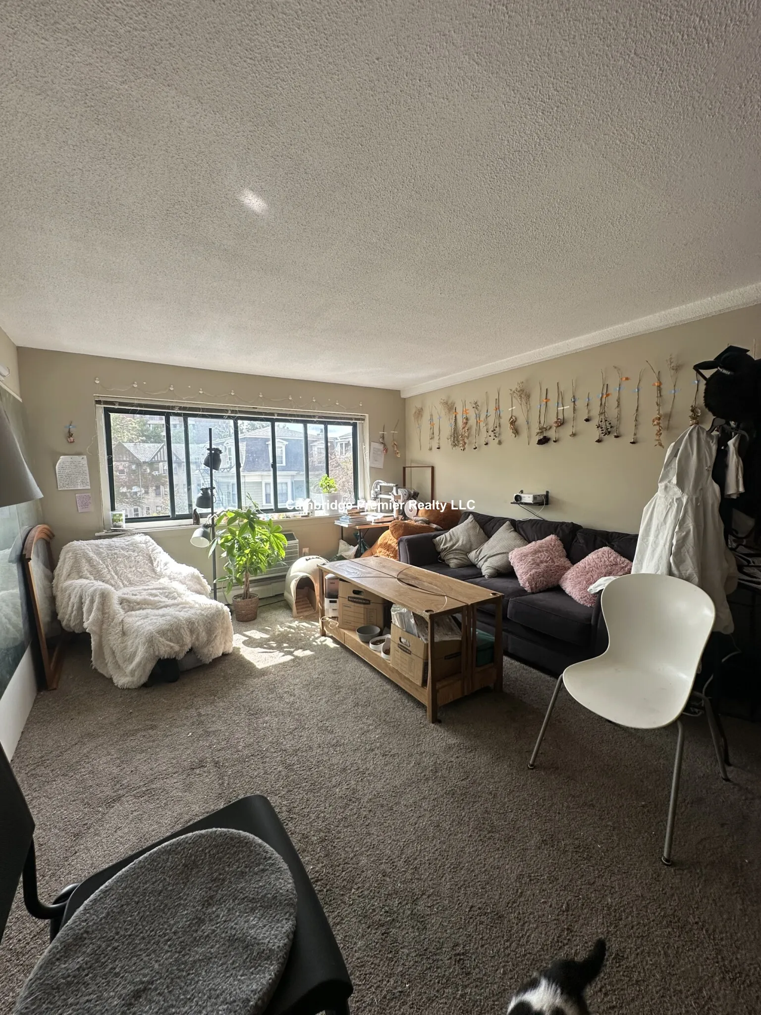 375 Harvard St, Mid-Cambridge