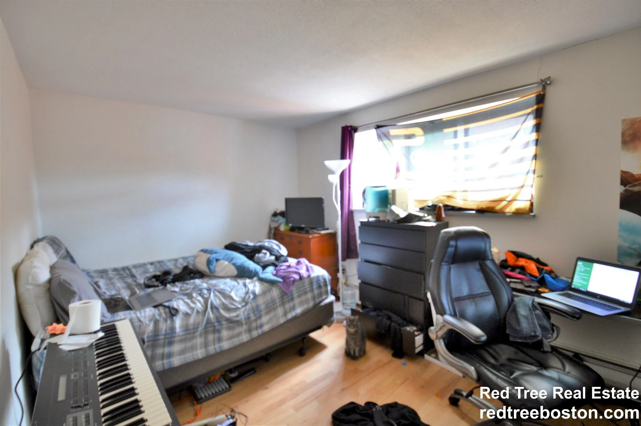 290 Corey Rd, Brighton