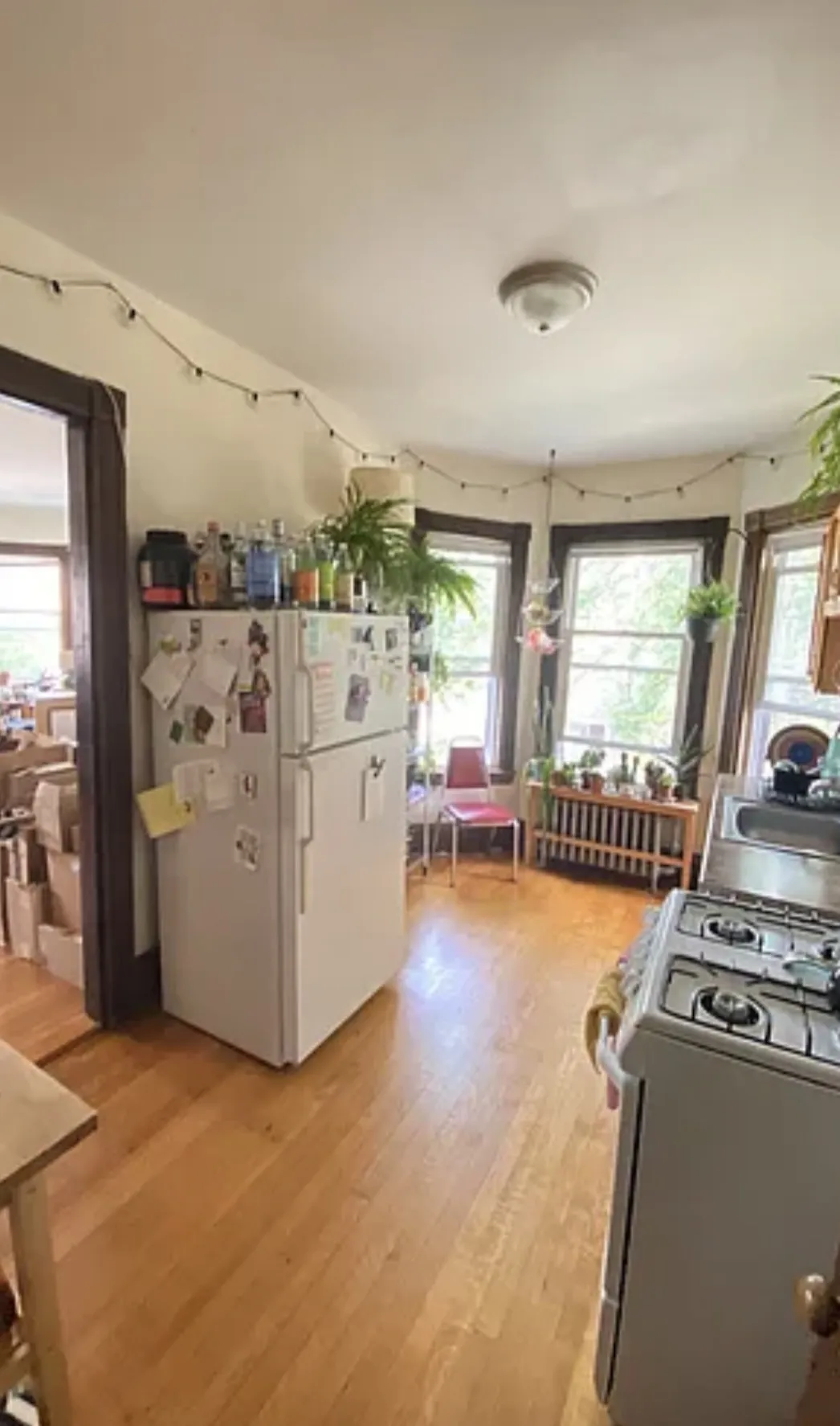 72 Thurston St, Winter Hill